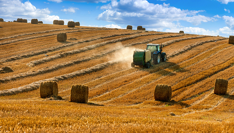 conditions-de-resiliation-d-un-bail-rural-6229f9f2c4eac788777843.jpg