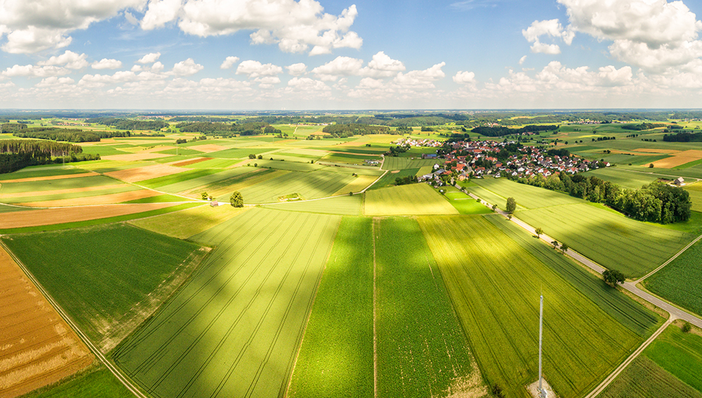 une-nouvelle-clause-au-bail-rural-d-un-terrain-agricole-6231dc99cbe4a165803088.jpg