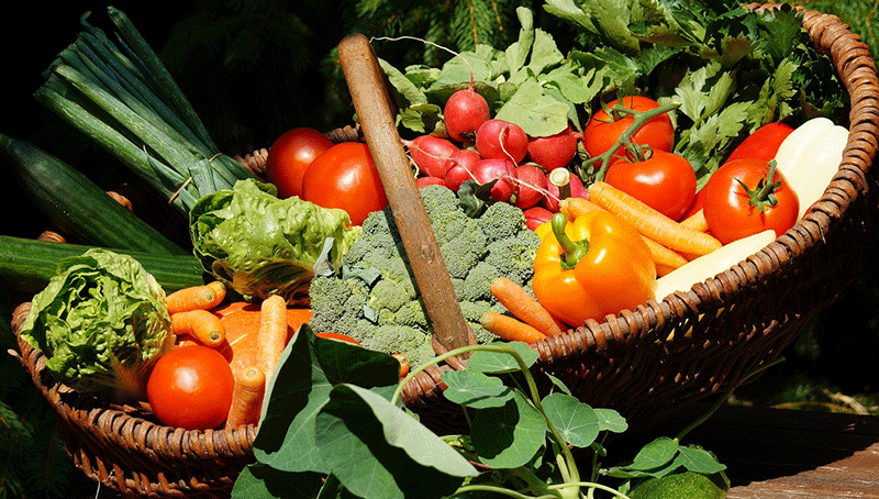 agriculture-biologique-le-nouveau-regime-applicable-6246fc7e569a4221035467.png