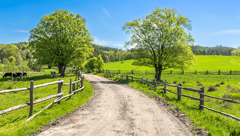 renforcer-la-protection-des-chemins-ruraux-6258147f38925039531737.png