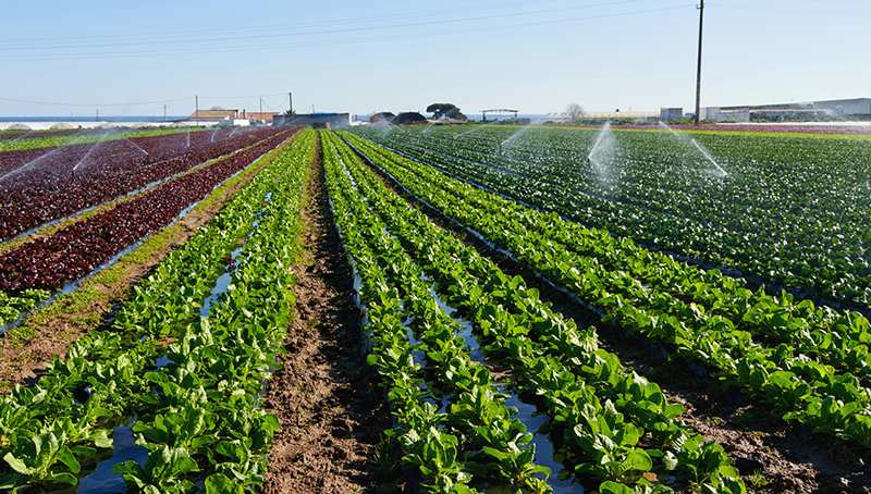 gestion-cooperative-risques-climatiques-627cfeb1d88e8472505592.jpg