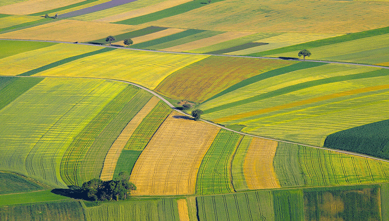 valuation-environnementale-dans-le-radar-du-defrichement-62960c9b59735543885820.png