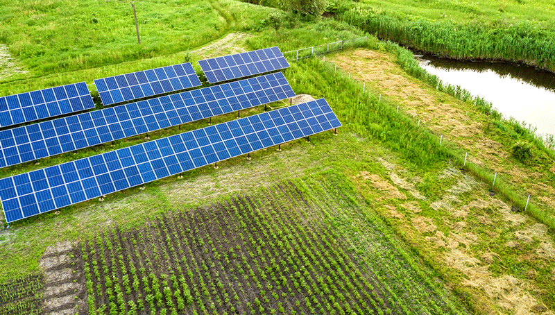 agrivoltaisme-62976bccf36a3908102075.png