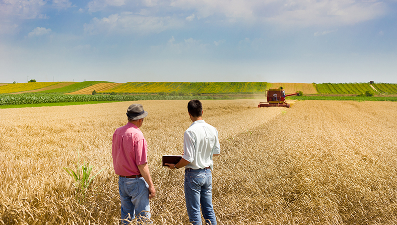 aide-en-faveur-des-entreprises-agricoles-62b57ed80a8a7077259242.jpg