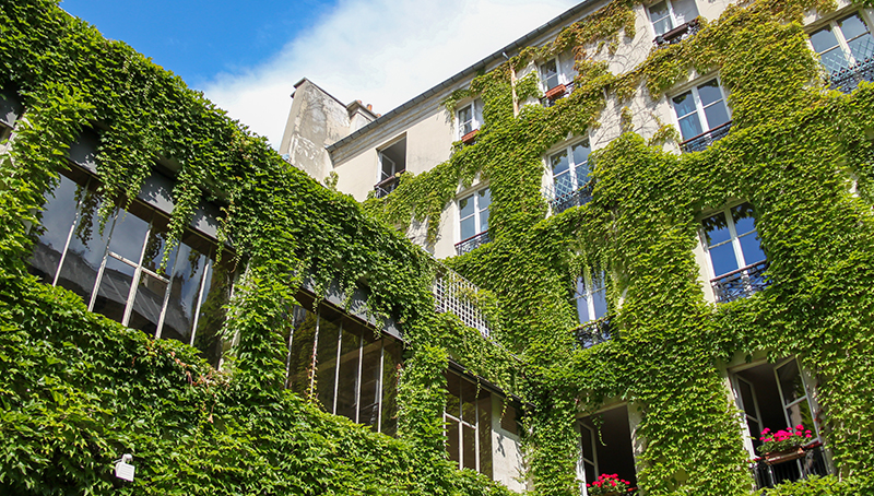 facade-vege-63ce69b97da03526930644.jpg