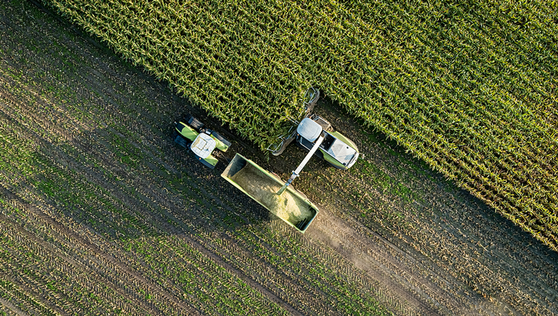 icpe-agricoles-63eba0254178a017144280.jpg