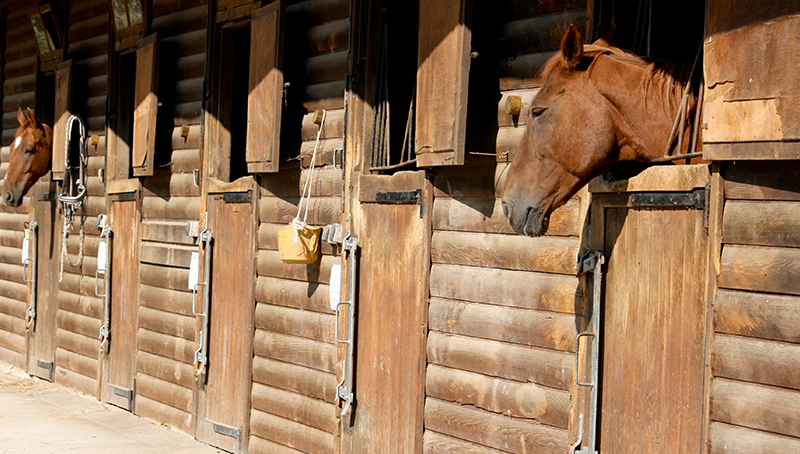 comment-fixer-le-fermage-dun-centre-equestre-643e6128cf83d499601129.jpg