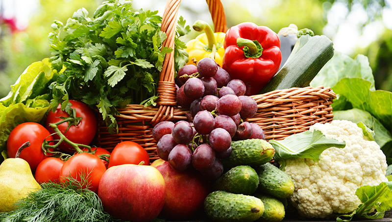 fruit-et-leg-programme-de-financement-643e68fd400d6483040475.jpg