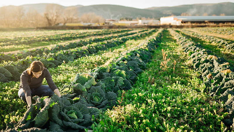 les-intrants-provenant-d-un-elevage-hors-sol-sont-ils-autorises-en-agriculture-biologique-644256026593f618010776.jpg