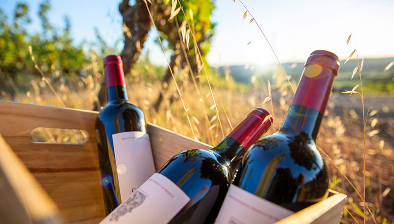 promotion-vins-marches-pays-tiers-64bf9e1526a04421459108.jpg