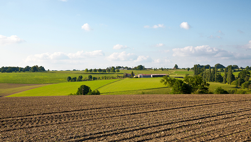 valeur-moyenne-terres-agricoles-2022-64cce96ddadcb974214348.jpg